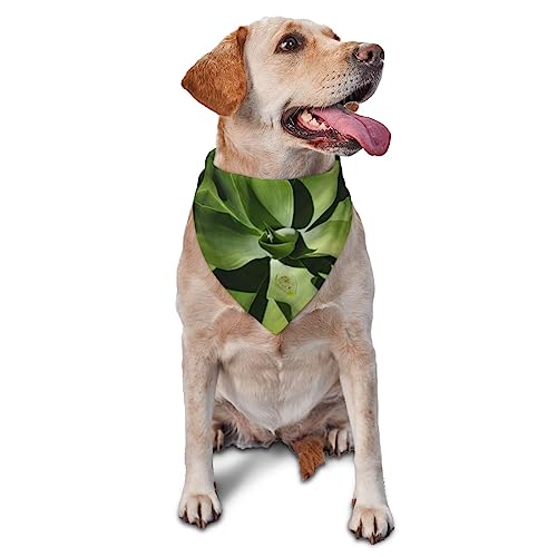 Grüne Pflanze mit langen Blättern Hund Bandana Niedlich Weich Waschbar Hund Schal Sommer Verstellbare Katze Halstuch Lätzchen Haustier Dreieckstuch von FURLOU