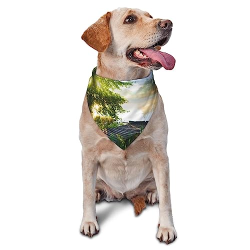 Hundehalstuch, Motiv: Landschaftsbäume, niedlich, weich, waschbar, Sommer, verstellbar, Katzen-Halstuch, Lätzchen, dreieckiges Taschentuch Hundehalstuch, Motiv: Landschaftsbäume, niedlich, weich, waschbar, Sommer, verstellbar, Katzen-Halstuch, Lätzchen, dreieckiges Taschentuch von FURLOU