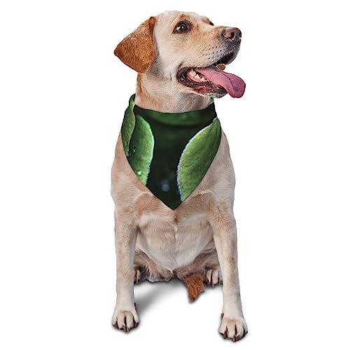 Little Ladybug Hund Bandana Niedlich Weich Waschbar Hund Schal Sommer Verstellbare Katze Halstuch Lätzchen Haustier Dreieckstuch Little Ladybug Hund Bandana Niedlich Weich Waschbar Hund Schal Sommer Verstellbare Katze Halstuch Lätzchen Haustier Dreieckstuch von FURLOU