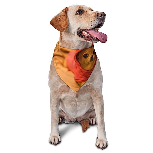 Lustiges Hunde-Halstuch, niedlich, weich, waschbar, für den Sommer, verstellbar, Katzen-Halstuch, Lätzchen, Haustier, dreieckiges Taschentuch Lustiges Hunde-Halstuch, niedlich, weich, waschbar, für den Sommer, verstellbar, Katzen-Halstuch, Lätzchen, Haustier, dreieckiges Taschentuch von FURLOU