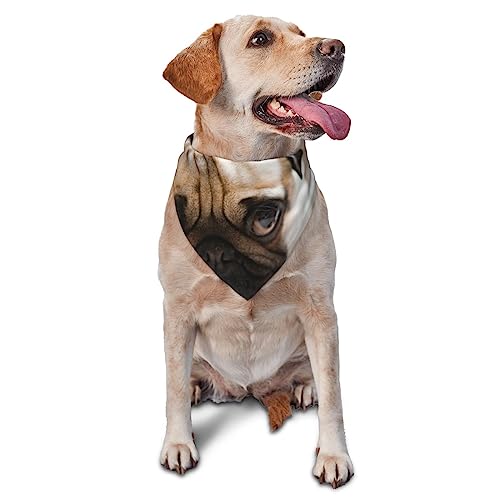 Niedlicher Welpe mit großen Augen Hund Bandana Niedlich Weich Waschbar Hund Schal Sommer Verstellbare Katze Halstuch Lätzchen Haustier Dreieckstuch von FURLOU