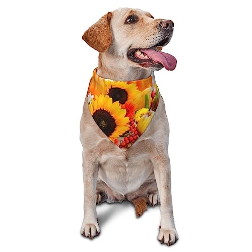 Obst Gemüse und Blumen Hund Bandana Niedlich Weich Waschbar Hund Schal Sommer Verstellbare Katze Halstuch Lätzchen Haustier Dreieckstuch von FURLOU