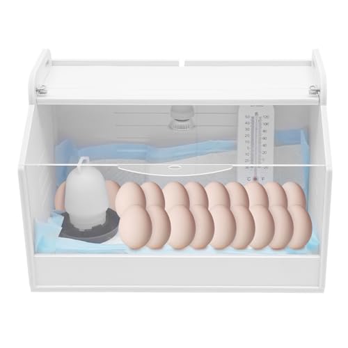 Inkubatoren für Geflügeleier,FUROMG Küken Aufzucht Box Wärme Lampe Brut Heim Aufzucht Reptilien Geflügel Inkubator,Wärmeplatte Reptilien Geflügel 15W Inkubatoren für Geflügeleier,FUROMG Küken Aufzucht Box Wärme Lampe Brut Heim Aufzucht Reptilien Geflügel Inkubator,Wärmeplatte Reptilien Geflügel 15W von FUROMG