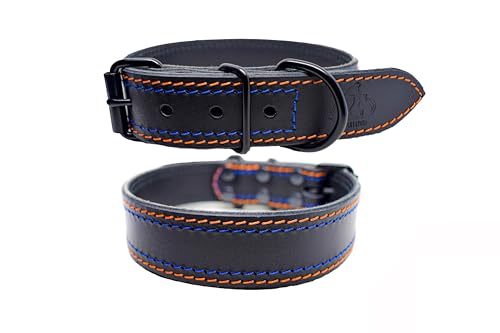 FURRO® Halsband aus Leder - Vibrant Explorer, Breites Lederhalsband, Orange-Blauen Nähten, Hochwertiges Echtleder, Für Kleine, Mittlere und Große Hunde (32–42 cm Halsumfang) von FURRO
