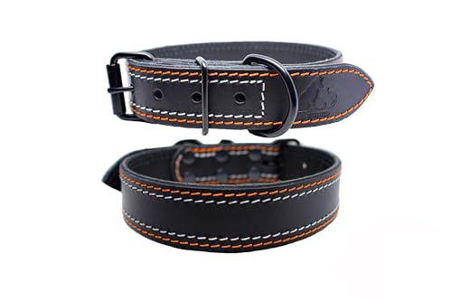 FURRO® Halsband aus Leder - Modern Edge, Breites Lederhalsband, Orange-Weißen Nähten, Hochwertiges Echtleder, Für Kleine, Mittlere und Große Hunde (32–42 cm Halsumfang) von FURRO