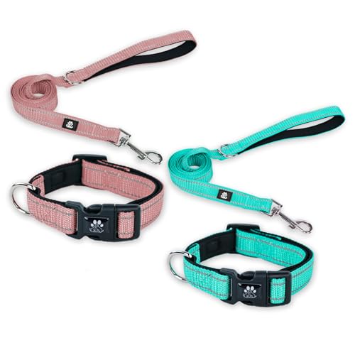 FURRYFECTION 2er-Pack Hundehalsbänder und Leine, Set für Hunde, reflektierend, mit Schnalle, verstellbar, gepolstert, Nylon, für kleine, mittelgroße und große Hunde (großes Halsband + 1,5 m Leine, von FURRYFECTION