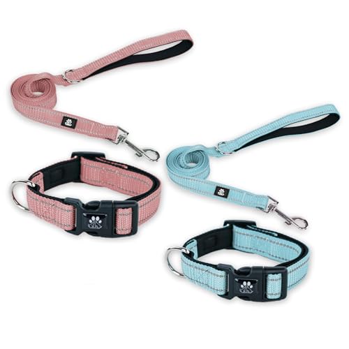 FURRYFECTION Hundehalsbänder und Leine, Set für Hunde, reflektierend, mit Schnalle, verstellbar, gepolstert, Nylon, für kleine, mittelgroße und große Hunde (XS Halsband + 1,5 m Leine, Blau + Rosa), 2 von FURRYFECTION