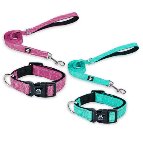 FURRYFECTION Hundehalsbänder und Leine, Set für Hunde, reflektierend, mit Schnalle, verstellbar, gepolstert, Nylon, für kleine, mittelgroße und große Hunde (XS Halsband + 1,5 m Leine, Blaugrün + Hot von FURRYFECTION