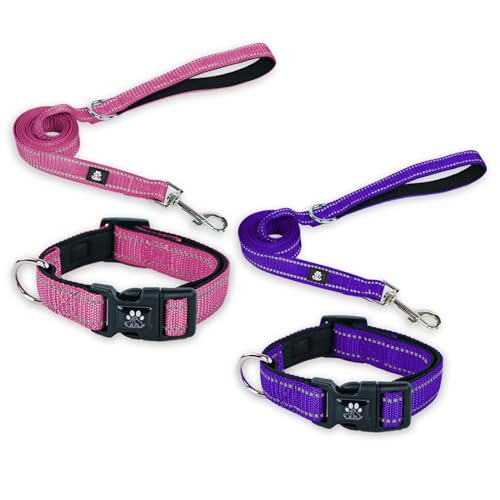 FURRYFECTION Hundehalsbänder und Leine, Set für Hunde, reflektierend, mit Schnalle, verstellbar, gepolstert, Nylon, für kleine, mittelgroße und große Hunde (XS Halsband + 1,5 m Leine, Lila + Hot von FURRYFECTION