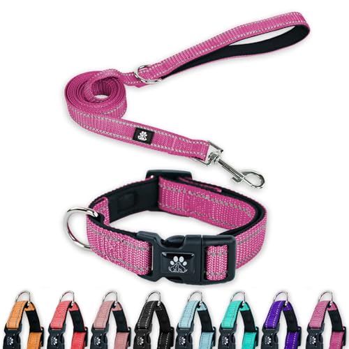 FURRYFECTION Reflektierendes Hundehalsband und Leine, Set mit Schnellverschluss-Schnalle, gepolstert mit Neopren, verstellbares Nylon-Hundehalsband für kleine, mittelgroße und große Hunde (großes von FURRYFECTION