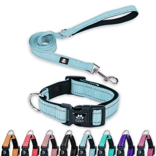 FURRYFECTION Reflektierendes Hundehalsband und Leine, Set mit Schnellverschluss-Schnalle, gepolstert mit Neopren, verstellbares Nylon-Hundehalsband für kleine, mittelgroße und große Hunde (kleines von FURRYFECTION