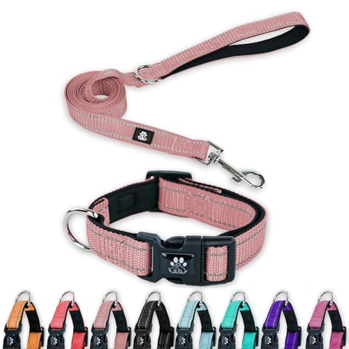 FURRYFECTION Reflektierendes Hundehalsband und Leine, Set mit Schnellverschluss-Schnalle, gepolstert mit Neopren, verstellbares Nylon-Hundehalsband für kleine, mittelgroße und große Hunde (kleines von FURRYFECTION