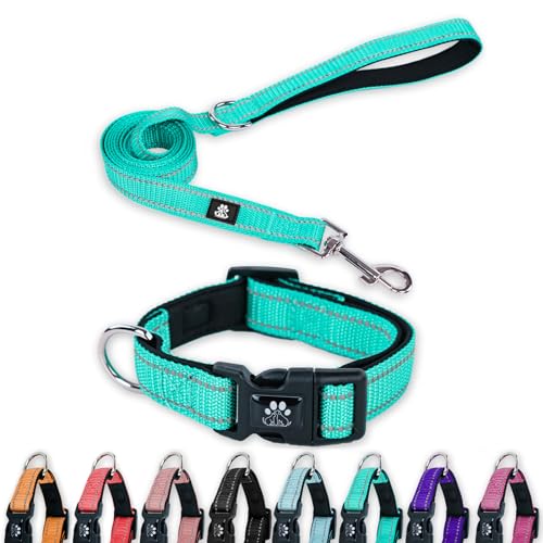 FURRYFECTION Reflektierendes Hundehalsband und Leine, Set mit Schnellverschluss-Schnalle, gepolstert mit Neopren, verstellbares Nylon-Hundehalsband für kleine, mittelgroße und große Hunde von FURRYFECTION