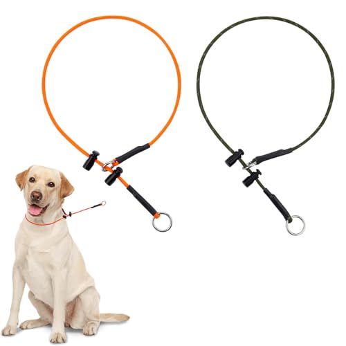 Hundehalsband, kein Ziehen, 42 mm, 453,6 kg, dünnes Halsband mit 2 verstellbaren Stoppern, reflektierend, stabil, für kleine, mittelgroße und große Hunde, Martingal-Halsbänder (Armeegrün und Orange) Hundehalsband, kein Ziehen, 42 mm, 453,6 kg, dünnes Halsband mit 2 verstellbaren Stoppern, reflektierend, stabil, für kleine, mittelgroße und große Hunde, Martingal-Halsbänder (Armeegrün und Orange) von FURSDOLY