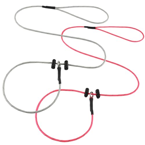 Hundeleine, Welpen-Trainingsleine, 1,6 cm, dünn, reflektierend, Paracord-Leine mit 12-Kernstärke, 453,6 kg Zugkraft, 2 Stück, für kleine und mittelgroße Hunde (Rosa und Hellgrau, 1,5 m) von FURSDOLY