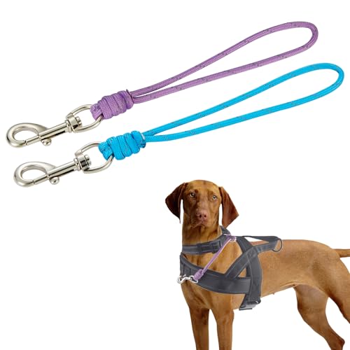 Sicherheitshalsband-Clip für Haustiere, 22,9 cm, Ersatzhalsband-Clips, 453,6 kg, 5/32 Zoll, dünne Paracord-Sicherheitsgurte, leicht, hohe Zugkraft, reflektierendes Design für Geschirr und alle von FURSDOLY