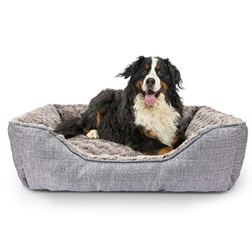 FURTIME Durable Dog Bed for Large Medium Small Dogs Soft Washable Pet Bed Breathable Rectangle Sleeping Bed Anti-Slip Bottom (24" x 21" x 8", Grey) von FURTIME