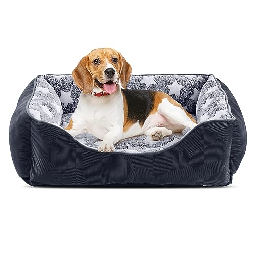 FURTIME Hundebett Kleine Hunde, Hundebett waschbar 51x48cm rutschfestes Hundekorb kuschelig, Ultra weicher Hundesofa bequem atmungsaktiv für Kleine Hunde und Katzen Grau/Sterne von FURTIME