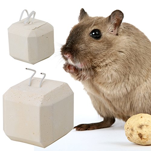 Furu Pet Kauen Spielzeug Mineral Stein Calcium Zähne Mahlwerk für Hamster Ratte Chinchilla Kaninchen S L Furu Pet Kauen Spielzeug Mineral Stein Calcium Zähne Mahlwerk für Hamster Ratte Chinchilla Kaninchen S L von FURU