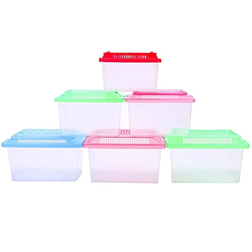 Aquarium Mini-Fischtank Tragbare Haustierkiste Klettern Zuchtkasten Zuchtkasten Reptil Square Box Hamster Transportzüchtung Schildkrötenkasten Aquarium-Kit (Color : Random Color, Size : 13X9X9CM) von FURUIWUFENG