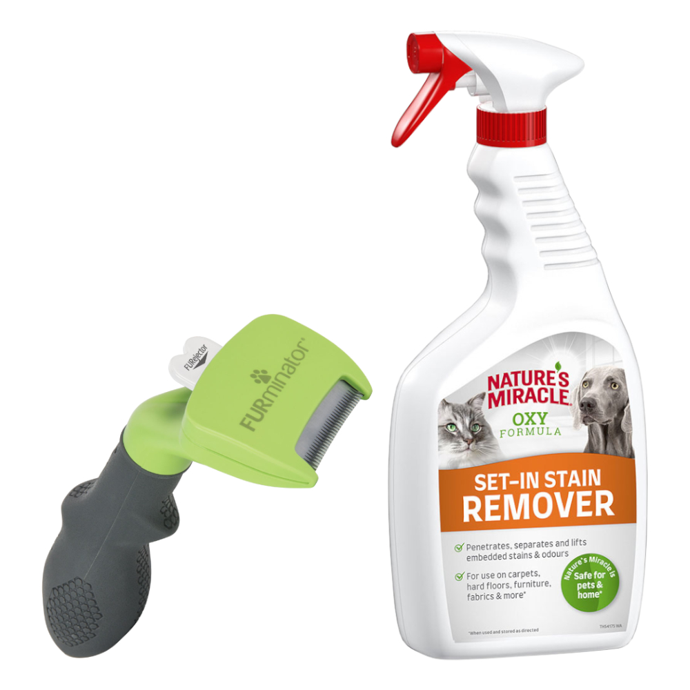 FURminator deShedding Tool + 709 ml Nature's Miracle Set-In Flecken- und Geruchsentferner gratis! - S Kurzhaar - Kammbreite 3,8 cm FURminator deShedding Tool + 709 ml Nature's Miracle Set-In Flecken- und Geruchsentferner gratis! - S Kurzhaar - Kammbreite 3,8 cm von FURminator