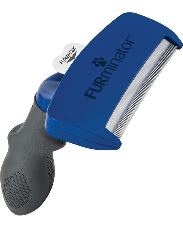 Furminator Fellpflegewerkzeug Hunde Kurzhaar Gr.L Kurzes Fell Furminator Fellpflegewerkzeug Hunde Kurzhaar Gr.L Kurzes Fell von FURminator
