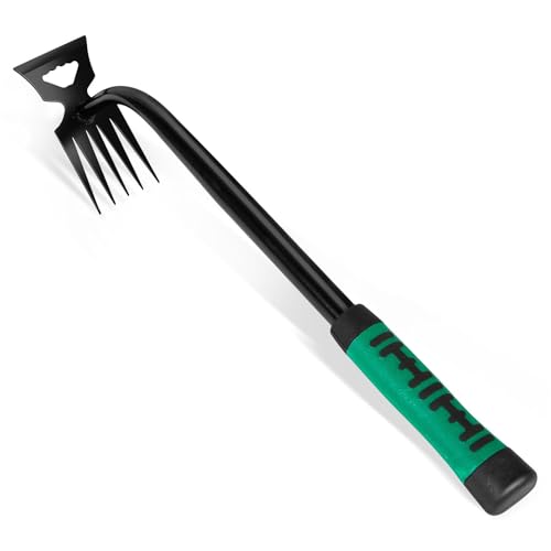 FUSHENGCHUANG Unkraut Entferner Gerät Edelstahl, Unkrautjäter Verbesserte Gartenarbeit Hand Unkrautstecher, Fugenkratzer Mit Stiel Gartenwerkzeug Unkrautentferner (Grün) von FUSHENGCHUANG