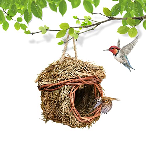 Kolibri Haus,Handgewebte Hung Stroh Nest,Kolibri Nest,Charmante dekorative Vogelhaus für Garten Terrasse Rasen Büro Innen ( Color : 1pcs ) von FUSKANG