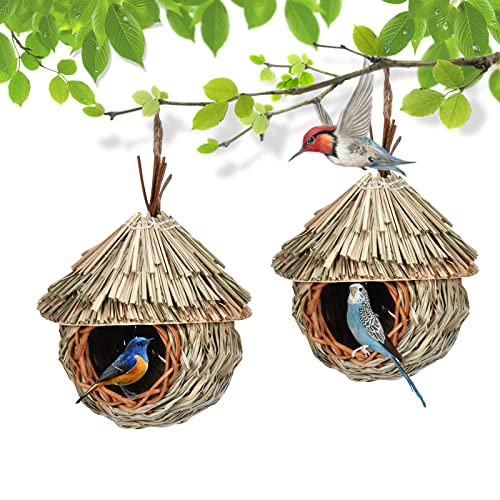 Vogelhaus,nistkasten für vögel für draußen,vogelhäuschen,Handgewebtes Kolibri-Nest für die Gartendekoration im Freien ( Color : 2pcs ) von FUSKANG