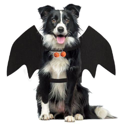 Fledermausflügel Hund,Halloween Fledermaus Hundekostüm,Hund Fledermausflügel mit Kürbisglocke,Einstellbar Hunds Fledermaus Flügel,Cosplay Dekoration Halloween Haustier Kostüm,L von FUTERLY