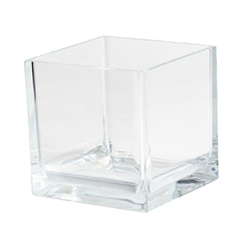 Aquarium Goldfischbecken Transparentes Desktop Betta Multifunktionaler Aquarientank für Pflanzen und Fische von FUTUREORYY