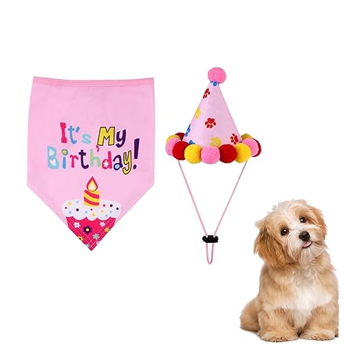 FUTUREORYY 1 Satz Geburtstagshut Set mit Hundehalsband und Einheitsgröße für Haustier Geburtstagsfeiern Geburtstagsdeko für Hundeliebhaber Schickes Accessoire für Hundegeburtstagsfeiern FUTUREORYY 1 Satz Geburtstagshut Set mit Hundehalsband und Einheitsgröße für Haustier Geburtstagsfeiern Geburtstagsdeko für Hundeliebhaber Schickes Accessoire für Hundegeburtstagsfeiern von FUTUREORYY