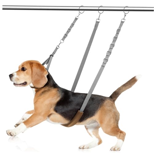 FUTUREORYY 1 Satz Haustierpflegeset Körperpflege Schleife Taille Erweiterungen Klein Bauch Hundepflegeschlaufen Haustiere Haustierpflegeseil Helfer Bei Der Hundepflege Grey Nylon von FUTUREORYY