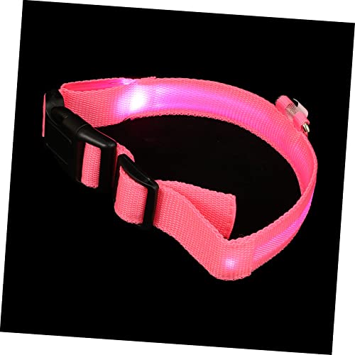 FUTUREORYY 1 Satz Leuchtendes Hundehalsband aus Hochwertigem Verstellbar USB Aufladbar für Kleine für Nächtliche und und Bequem FUTUREORYY 1 Satz Leuchtendes Hundehalsband aus Hochwertigem Verstellbar USB Aufladbar für Kleine für Nächtliche und und Bequem von FUTUREORYY