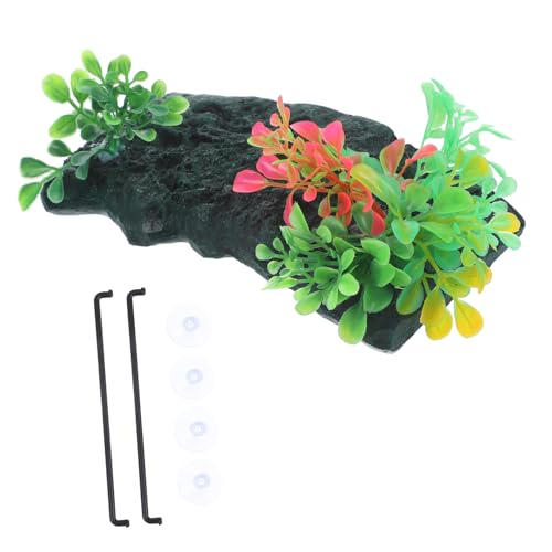 FUTUREORYY 1 Satz Schildkröten Baskingsplattform für Aquarien Mittelgroße mit Saugnäpfen für Reptilien und Wasserbewohner Langlebig Natürlichem Graslook FUTUREORYY 1 Satz Schildkröten Baskingsplattform für Aquarien Mittelgroße mit Saugnäpfen für Reptilien und Wasserbewohner Langlebig Natürlichem Graslook von FUTUREORYY