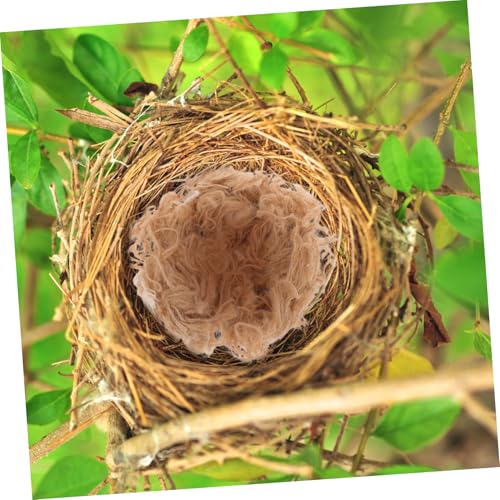 FUTUREORYY 1 Schachtel Natürliches Nistmaterial für Vögel Box Organische Jutefasern DIY Vogel Nistzubehör für Wellensittiche Kanarienvögel mit Verstecktem Versteck zur Stressreduktion FUTUREORYY 1 Schachtel Natürliches Nistmaterial für Vögel Box Organische Jutefasern DIY Vogel Nistzubehör für Wellensittiche Kanarienvögel mit Verstecktem Versteck zur Stressreduktion von FUTUREORYY
