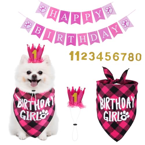 FUTUREORYY 1 Set Haustier Geburtstagsanzug Hundepartyhut Hundegeburtstagshut Geburtstagshut Für Hundewelpen Hundegeburtstags Bandana Hundegeburtstagsdekorationen Hundeparty von FUTUREORYY