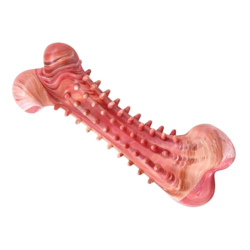 FUTUREORYY 1 Stück Kauspielzeug aus Interaktives Zahnpflege für Kleine und Große Sicher Zahnhygiene und Reduzierung von Langeweile FUTUREORYY 1 Stück Kauspielzeug aus Interaktives Zahnpflege für Kleine und Große Sicher Zahnhygiene und Reduzierung von Langeweile von FUTUREORYY