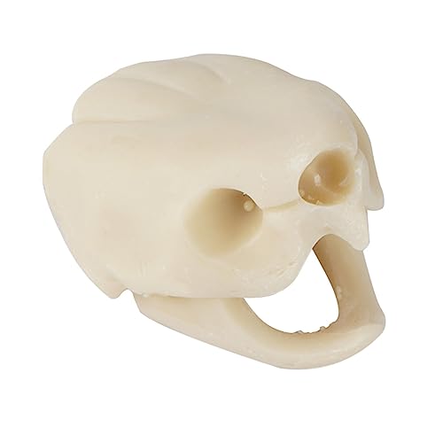 FUTUREORYY 1 Stück Simulation Schildkrötenkopf Dekoration für Aquarium Künstlicher Skull Ornament für Fischbecken Material Einfache für Aquarien und Terrarien von FUTUREORYY