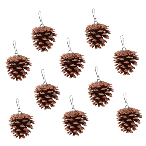 FUTUREORYY 10stücke Natürliche Kieferzapfen Papagei Kauspielzeug Für Vogelkäfige Für Kleine Bis Mittelgroße Vögel Fördert Die Schnabelgesundheit Installieren Vielseitig Einsetzbar FUTUREORYY 10stücke Natürliche Kieferzapfen Papagei Kauspielzeug Für Vogelkäfige Für Kleine Bis Mittelgroße Vögel Fördert Die Schnabelgesundheit Installieren Vielseitig Einsetzbar von FUTUREORYY