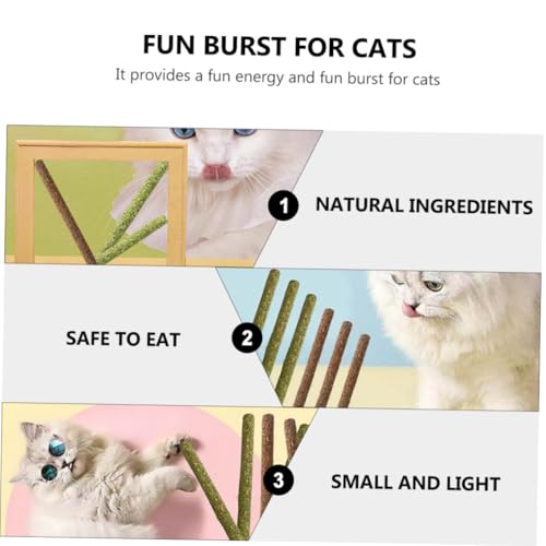 FUTUREORYY 12 Stück Teiliges Katzenleckerlis mit Katzenminze und Insektenknospen Natürliche Kausticks zur Beruhigung und Zahnpflege Stressabbau für Katzen Fördert und Beschäftigung von FUTUREORYY