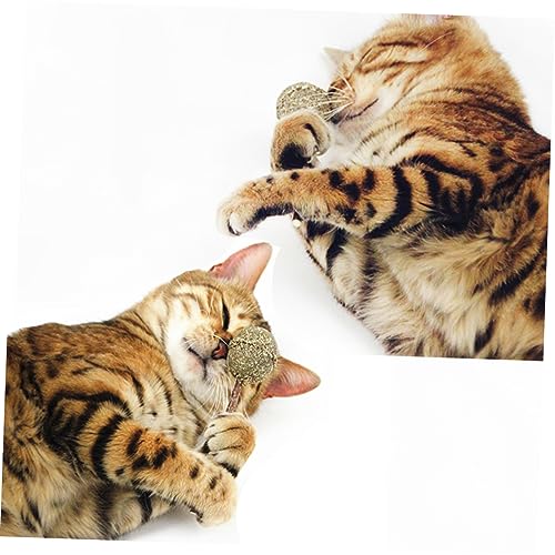 FUTUREORYY 2 STÜCK Teiliges Katzenminze Lutscher mit Polygonum Stab Kaubarer Molar Stick für Katzenzahnpflege Natürliche Katzenminze Bällchen für Kleine bis Mittelgroße Katzen zum Kauen von FUTUREORYY