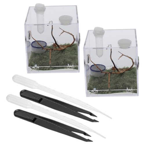 FUTUREORYY 2 Sätze Springspinnen Zuchtbox aus Transparentem Acryl mit Belüftungslöchern Praktische Reptilien Aufzuchtdose für Insekten und Spinnen Robustes Habitat Gehege für Lebendige FUTUREORYY 2 Sätze Springspinnen Zuchtbox aus Transparentem Acryl mit Belüftungslöchern Praktische Reptilien Aufzuchtdose für Insekten und Spinnen Robustes Habitat Gehege für Lebendige von FUTUREORYY