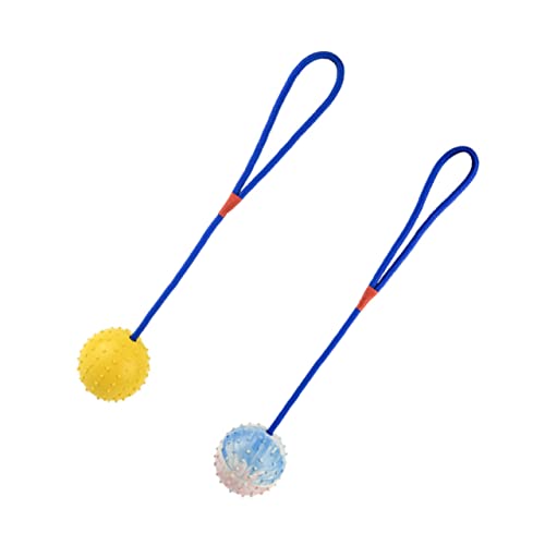 FUTUREORYY 2 Stück Ball aus Teiliges für Interaktive Zahnpflege und Langlebig für Welpen und Kleine Fördert Gesundes Kauen und Spielverhalten FUTUREORYY 2 Stück Ball aus Teiliges für Interaktive Zahnpflege und Langlebig für Welpen und Kleine Fördert Gesundes Kauen und Spielverhalten von FUTUREORYY