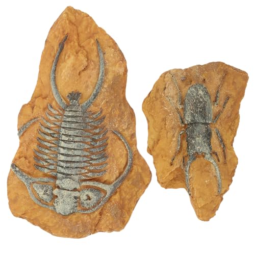 FUTUREORYY 2 Stück Kreative Resin Fossil Terrarium Dekoration Teilig Stabile Reptilien Landschaft Ornamente für Echsen Spinnen und Kleintiere Natürlicher Look Geruchlos Vielseitig Einsetzbar von FUTUREORYY