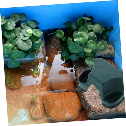 FUTUREORYY 2 Stück Multifunktionale für Reptilien mit Futter Wassernapf Langlebiges Schildkrötenzubehör für Terrarium und Außengehege Realistische Dekoration FUTUREORYY 2 Stück Multifunktionale für Reptilien mit Futter Wassernapf Langlebiges Schildkrötenzubehör für Terrarium und Außengehege Realistische Dekoration von FUTUREORYY