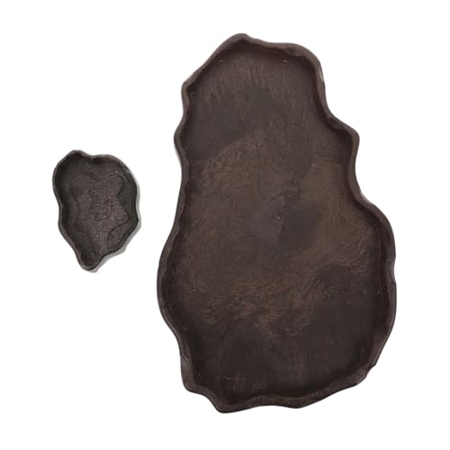 FUTUREORYY 2 Stück Reptilien Wassernapf aus Hochwertigem Resin Lizard und Schildkröten Wasserschale Praktische Futterschale für Terrarien Geeignet für Eidechsen und Hornfrösche Langlebig und von FUTUREORYY