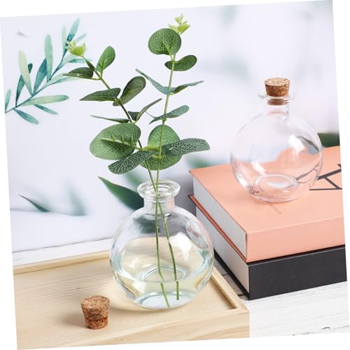 FUTUREORYY 2 Stück Terrarium Kugelförmige Flaschen mit Korkdeckel Transparentes Mikrolandschaft Gefäß für Moos Hydrokulturpflanzen Vorratsglas Vielseitig Einsetzbar von FUTUREORYY