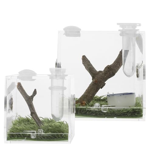 FUTUREORYY 2Stücke Sprungbox Für Insektenzucht Kleine Futterbox Für Spinnen Skorpione Grillen Transparente Aufzuchtbehälter Mit Belüftungslöchern Für Optimale von FUTUREORYY