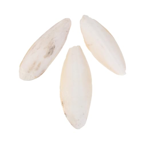 FUTUREORYY 3 Papageien Kauspielzeug Calciumreiche Tintenfischknochen Hängeto für Vögel Wellensittiche Käfig Zubehör für Zahnpflege und Beißspaß von FUTUREORYY